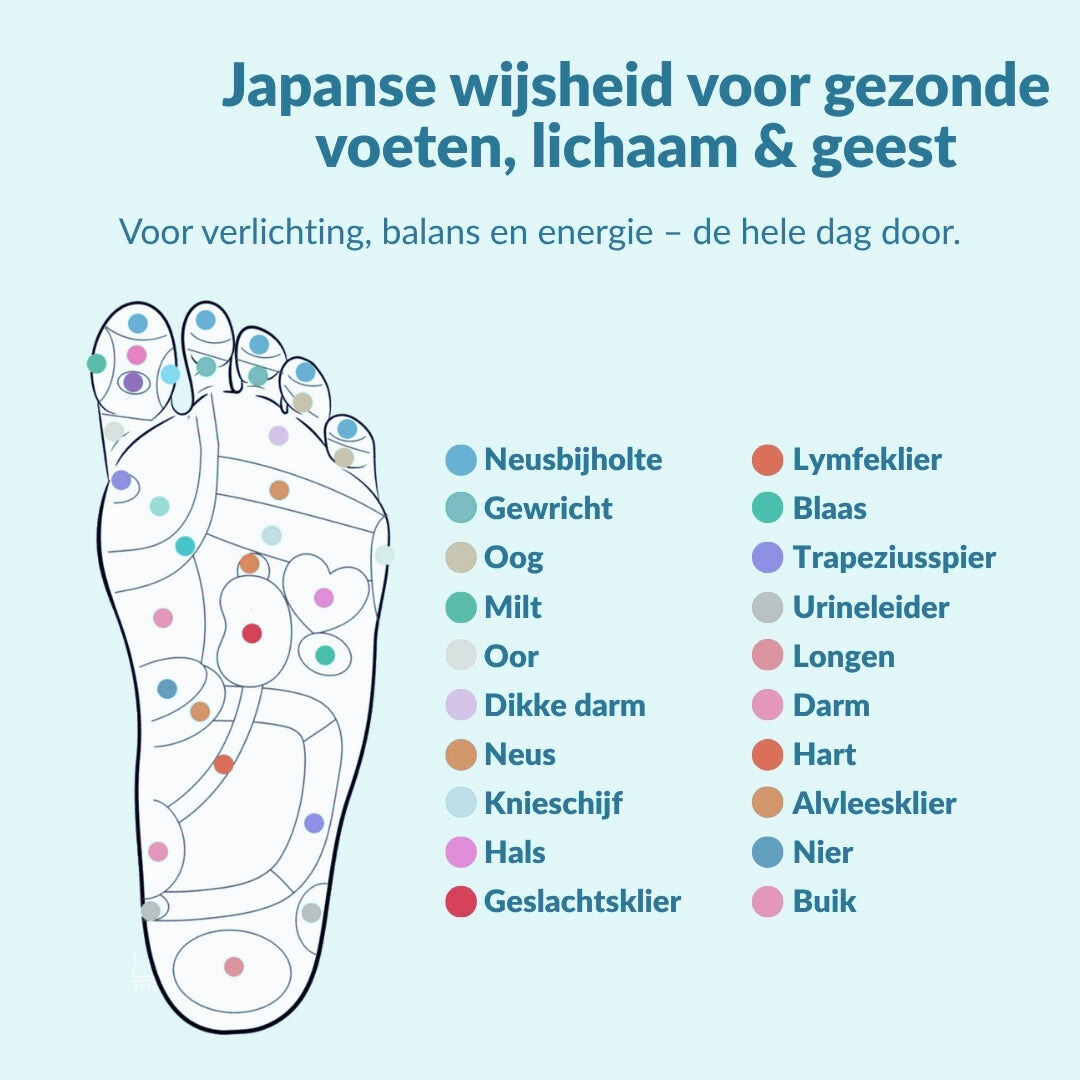 Magnetic Acupressure Insoles