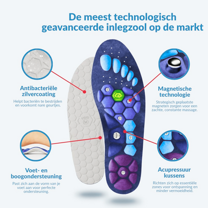 Magnetic Acupressure Insoles